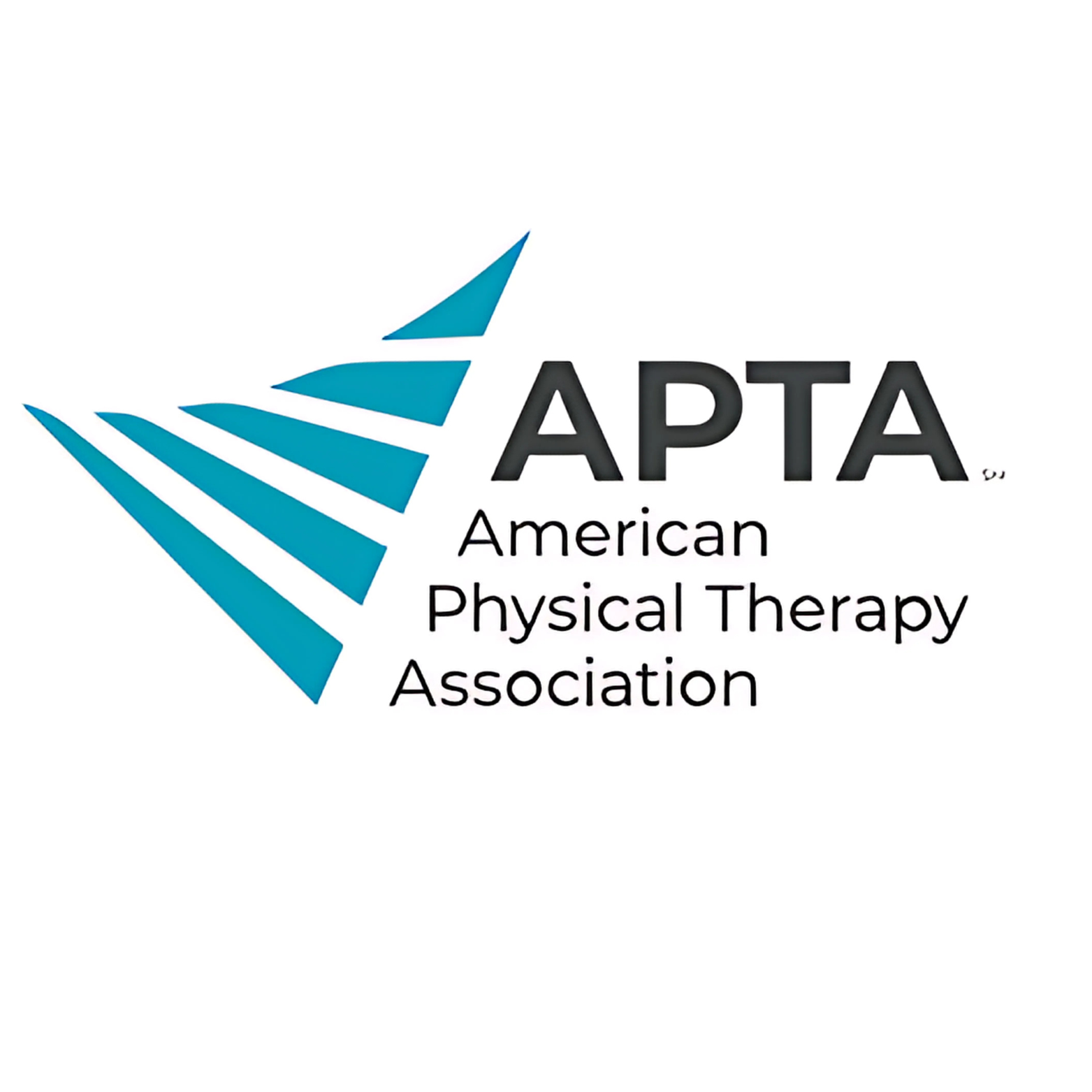 American Physical Therapy Association